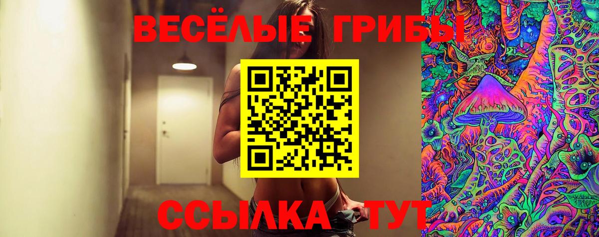 Галлюциногенные грибы Cubensis Кирово-Чепецк